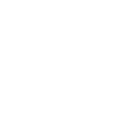 MMS-Wit