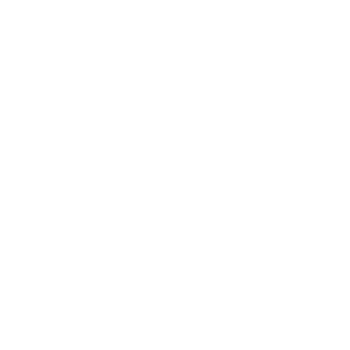 de-lange-zielstra-wit